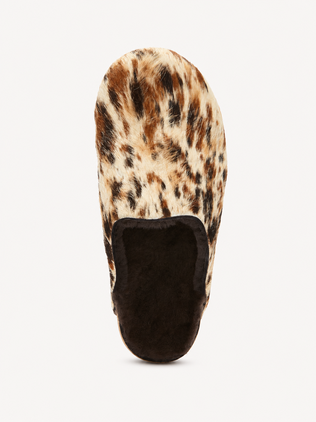 Scholl Luna Clog in Brown Animalier — top view