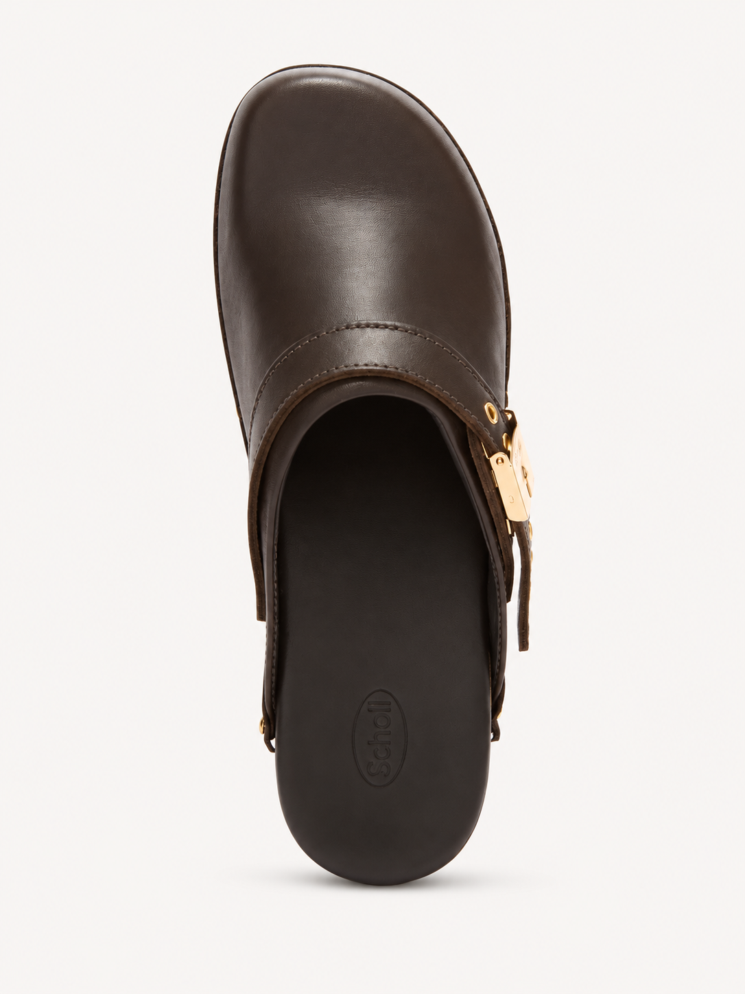 Scholl Pescura Robin in Dark Brown – top view